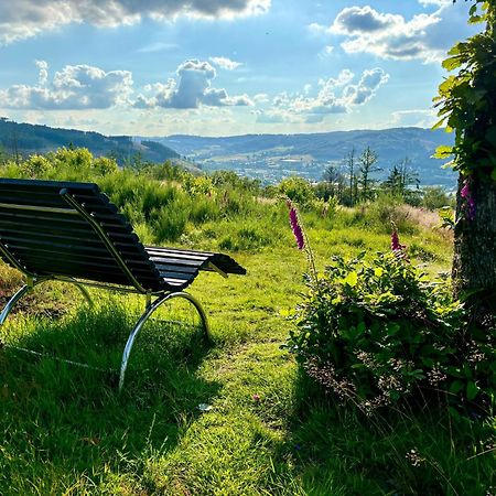 Traumwohnung Mit Sauna & Kamin, Direkt Am Wald Плеттенберг Экстерьер фото